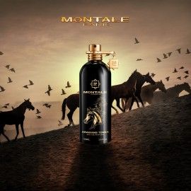 Arabians Tonka Ml Montale Perfume